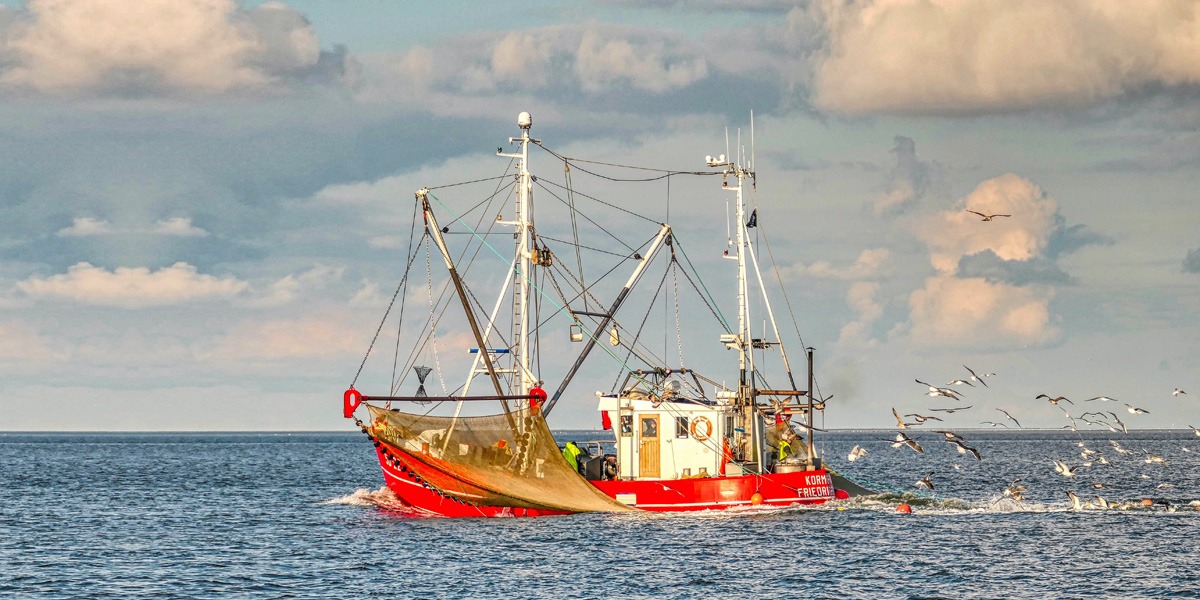 Nordsee Urlaub in Buesum Fischkutter