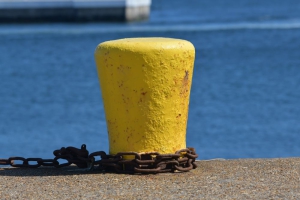 Nordsee-Helgoland-Poller