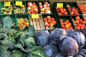 Nordsee Kulinarik Büsum Kohl