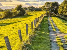 Nordsee-Urlaub Buesum-Binnendiek