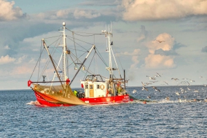 Nordsee-Urlaub Buesum Fischkutter